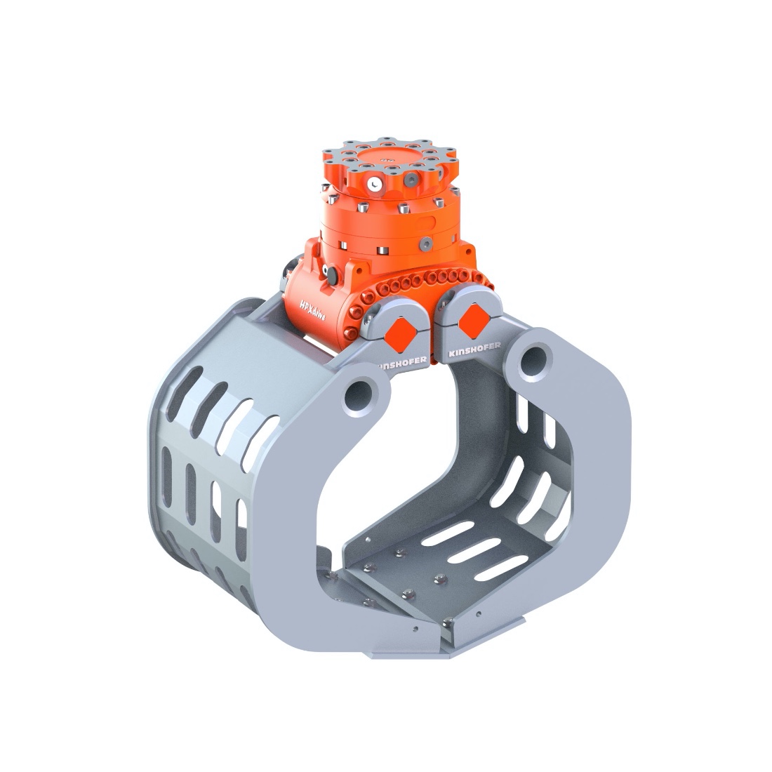 Les coquilles sont fermées.